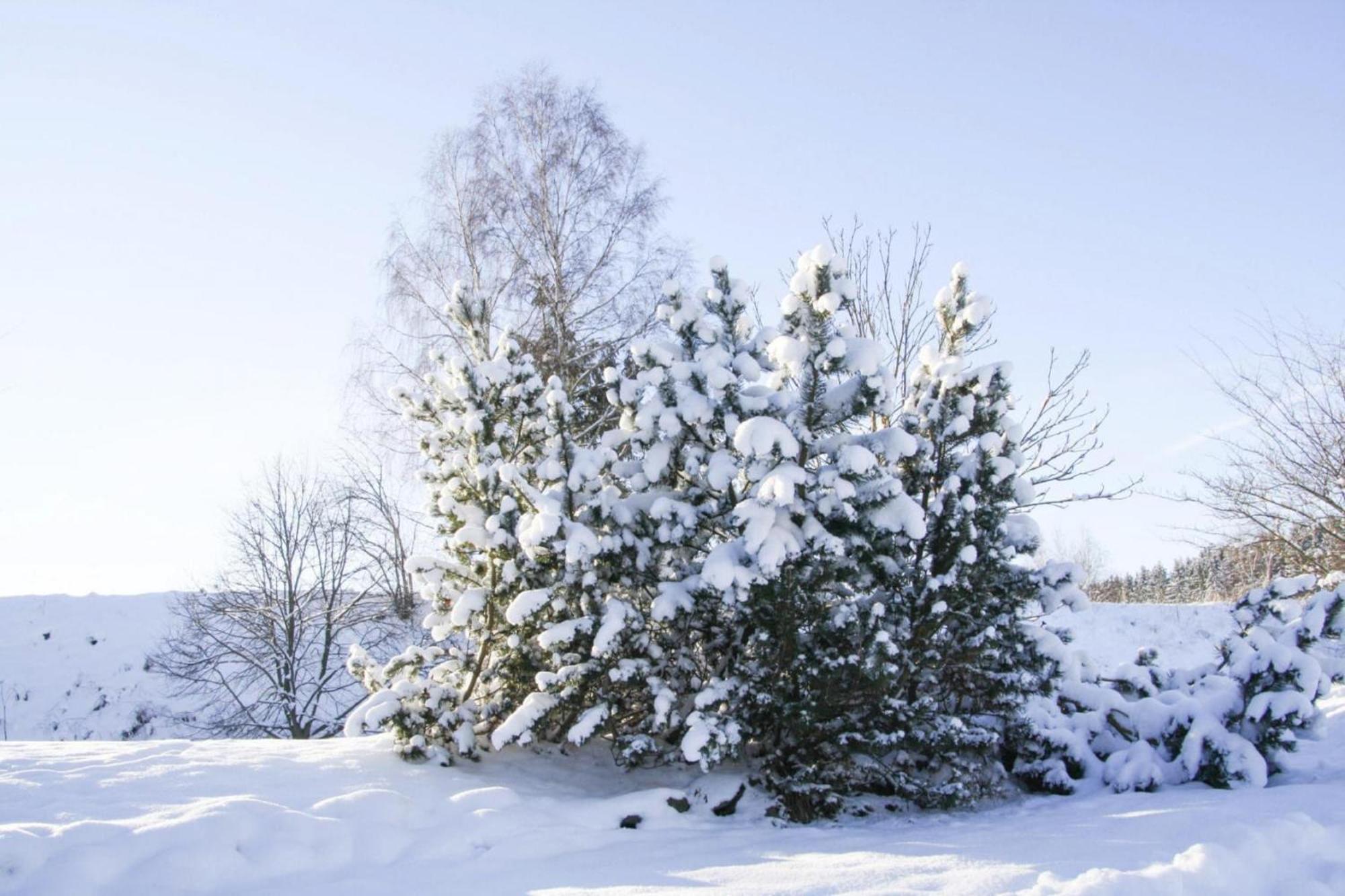 Apartment Braunlage Bagian luar foto