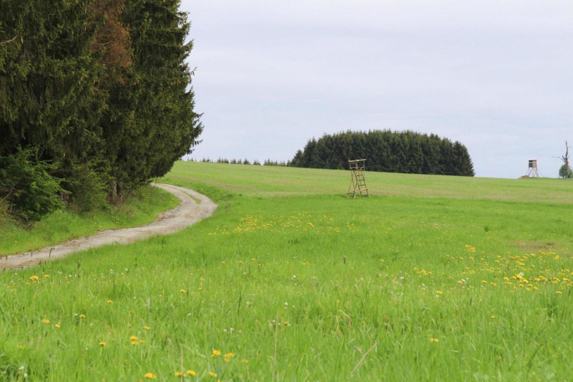 Apartment Braunlage Bagian luar foto