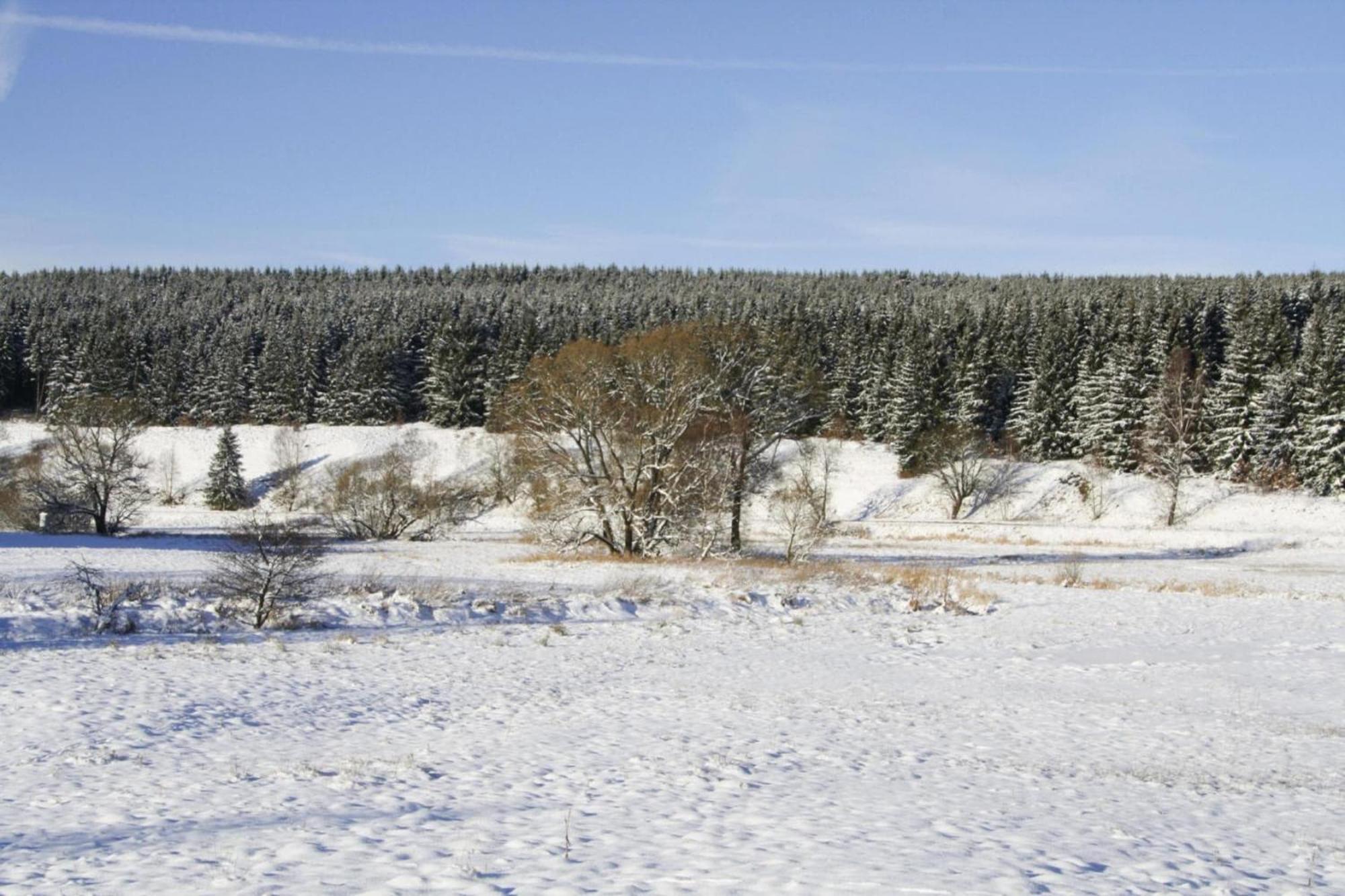 Apartment Braunlage Bagian luar foto